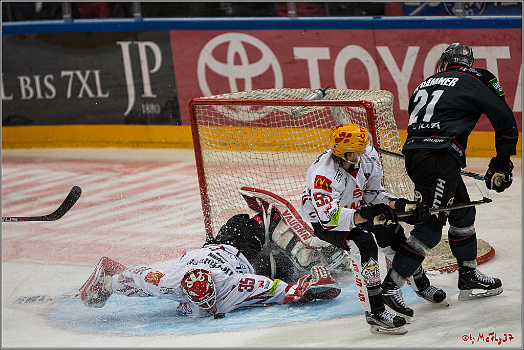 DEL, Koelner Haie - Fishtown Pinguins Bremerhaven, 29.01.2017